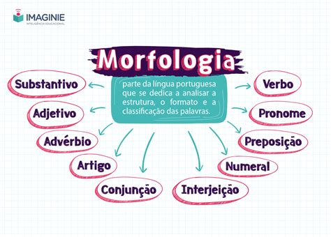 morfologia significado